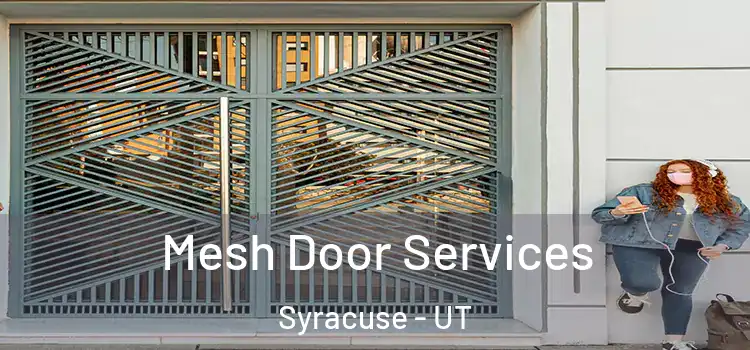  Mesh Door Services Syracuse - UT